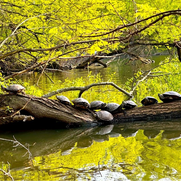 Fallow something exciting/offers welcome - Picture 1 of 1